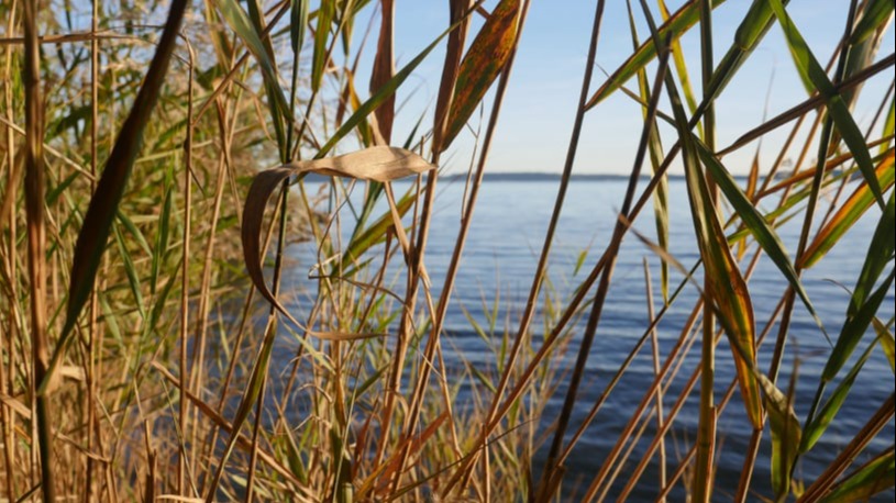 Balade Petite Camargue
