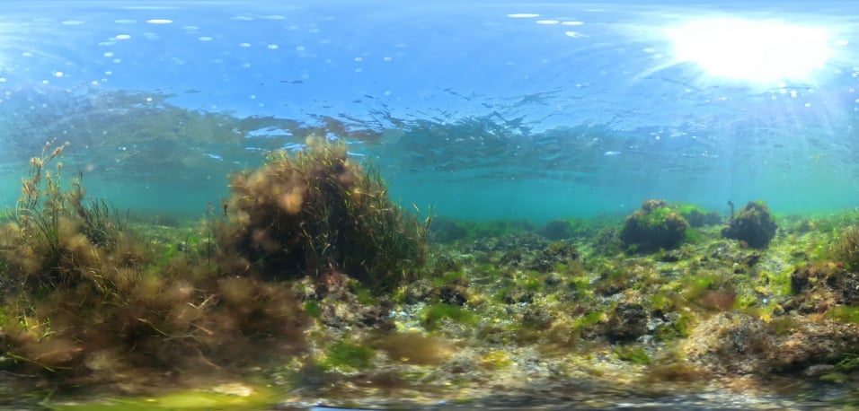 Aquarium magique