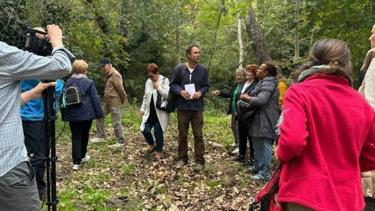 Cueillette de plantes sauvages